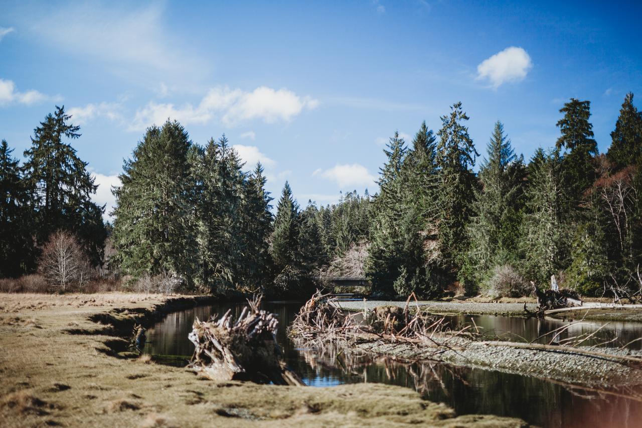 Port Hardy Cabins Luaran gambar